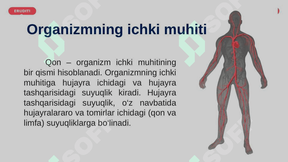 Qon va uning tarkibiy qismlari. 2