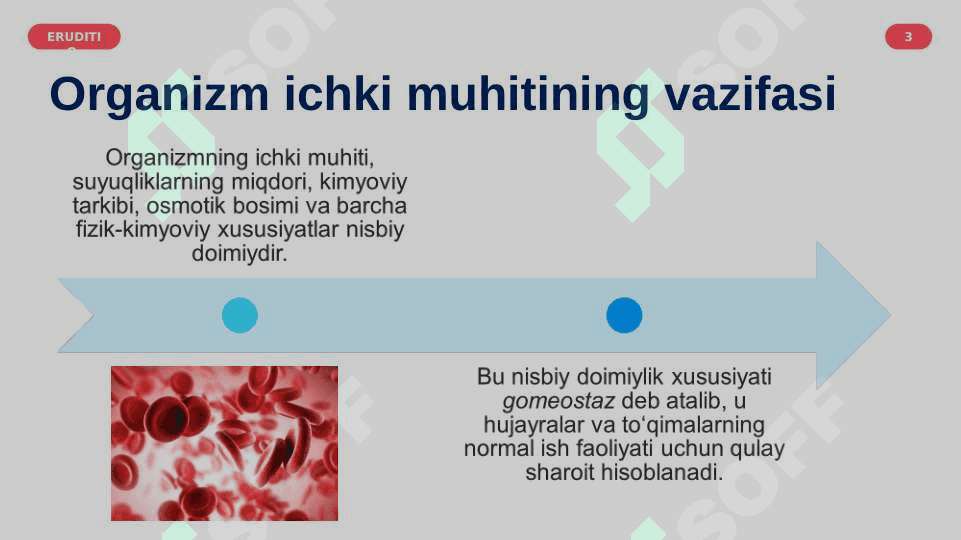 Qon va uning tarkibiy qismlari. 3
