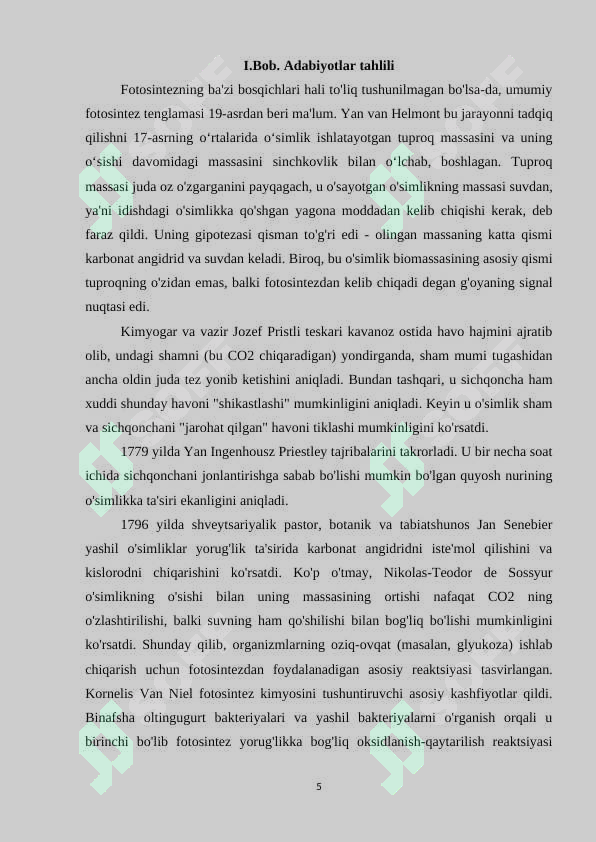Preview 5
