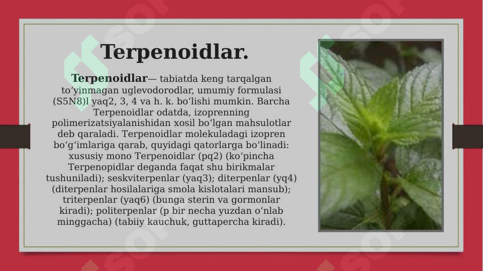 Terpenoidlardan olinadigan dori moddalarni olish usullari 2
