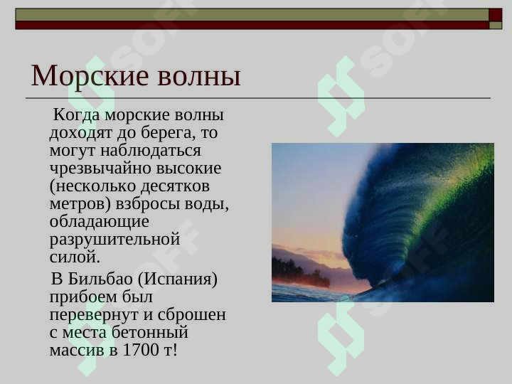 Preview 6