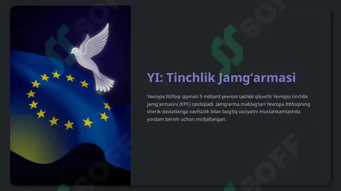 Yevropa Ittifoqi 8