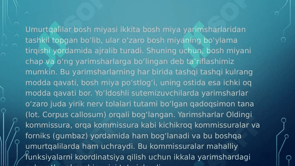 Bosh miya yarim sharlar po'stlog'ining fiziologiyasi. Bazal yadrolar. 3