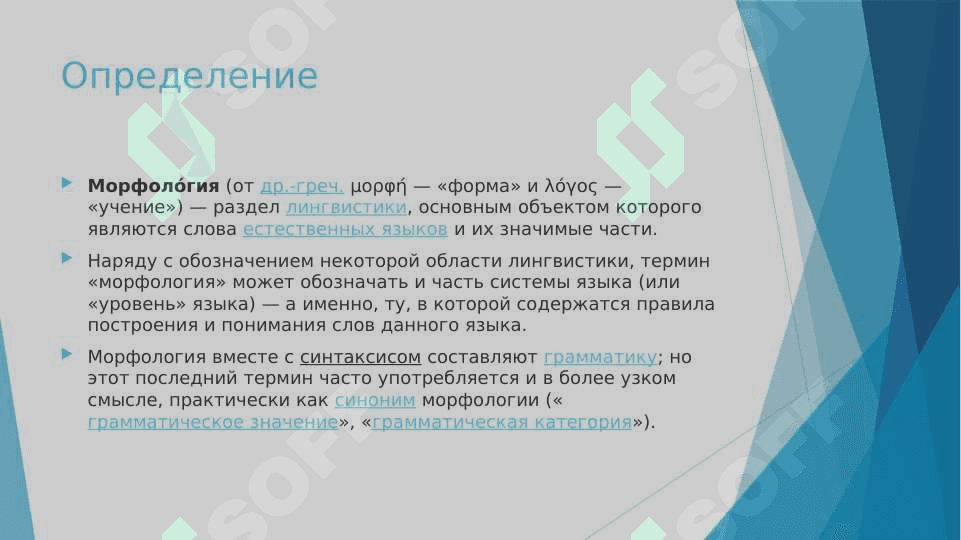 Морфология 2