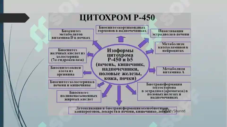 Sitoxrom R-450 induktorlari va ingibitorlarini klinikada qo'llanilishi. Sitoxrom R-450 geni 3