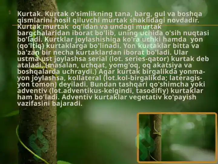 Preview 8