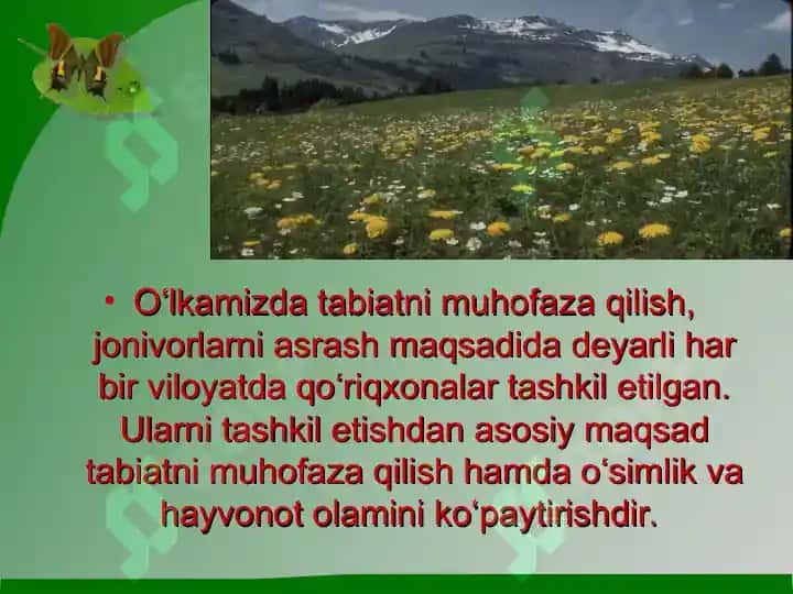 «Kitob» davlat geologik qo‘riqxonasi ekosayyohlik resurslari 2