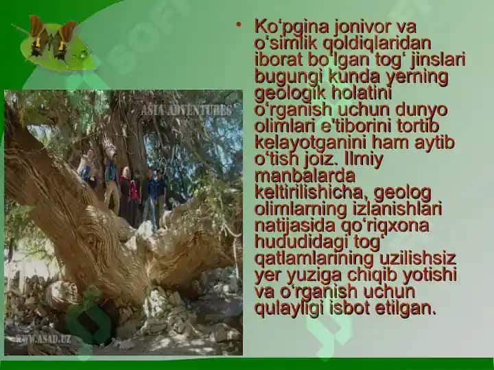 «Kitob» davlat geologik qo‘riqxonasi ekosayyohlik resurslari 5