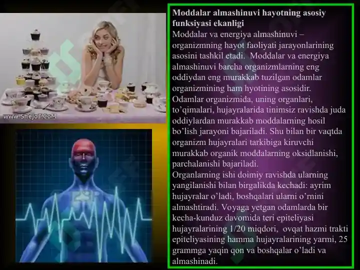 Modda va energiya almashinuvi 3