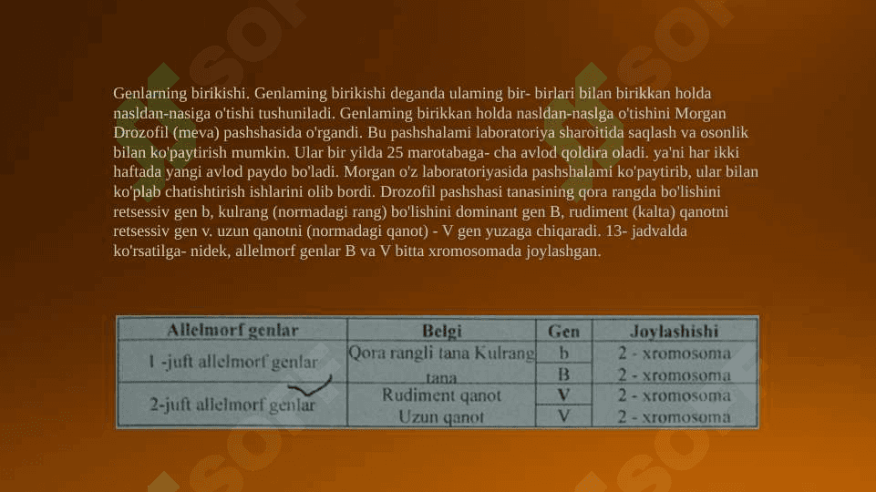 Irsiyatning xromosoma nazariyasi.T.G Morgan genlarning birikish holati. Krossingover. Belgilarning jinsga birikkan holda irsiylanishi. 4