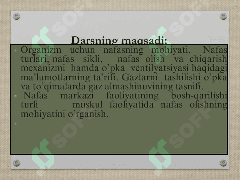 Nafas sistemasi fiziologiyasi, nafas a'zolari haqida ma'lumot 2