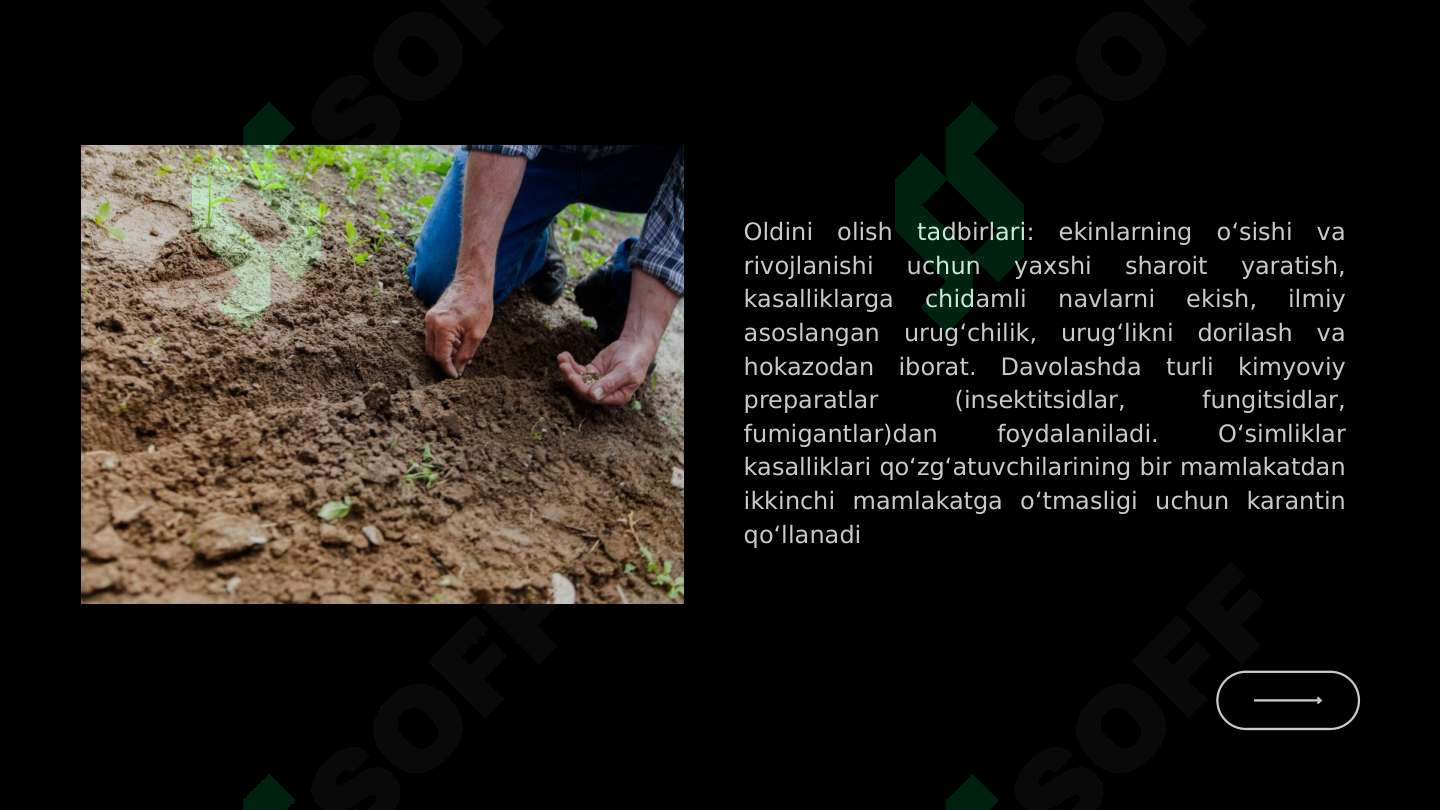 Preview 7