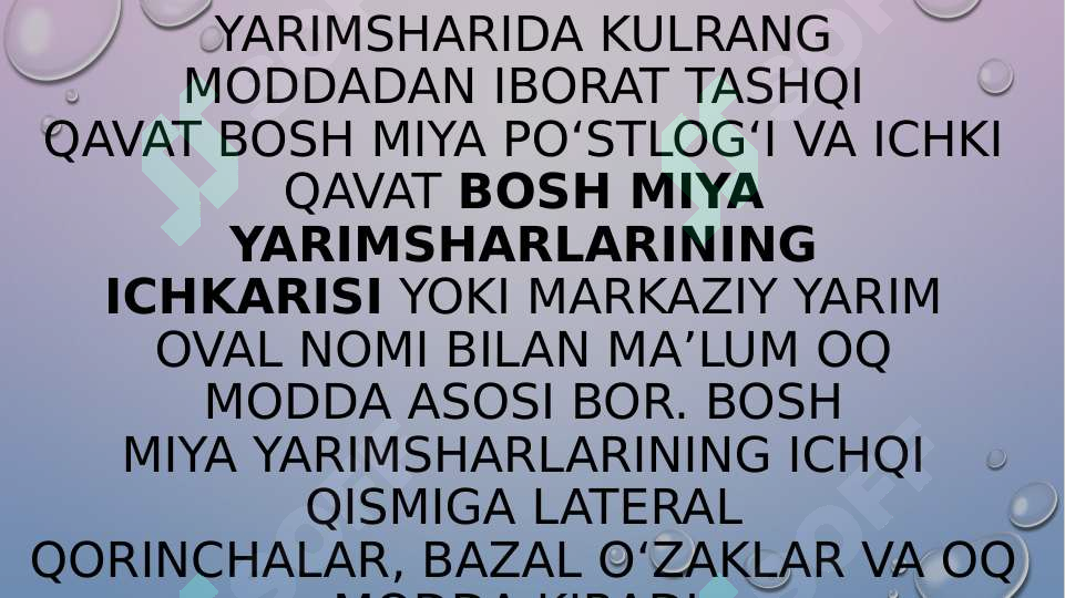 Bosh miya yarim sharlar po’stlog’ining fiziologiyasi 6