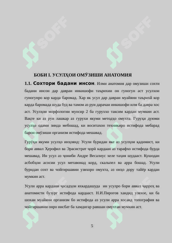 Preview 5