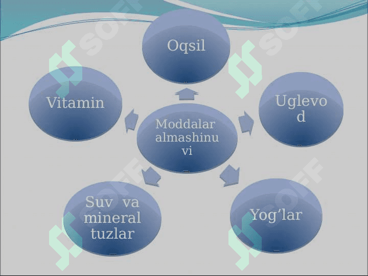 8-sinf biologiya Vitaminlar va ularning ahamiyati 3