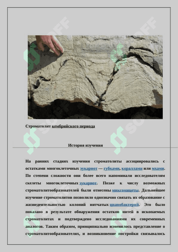 «Строматолиты и их значение для стратиграфии. Органический мир четвертичного периода..» 4