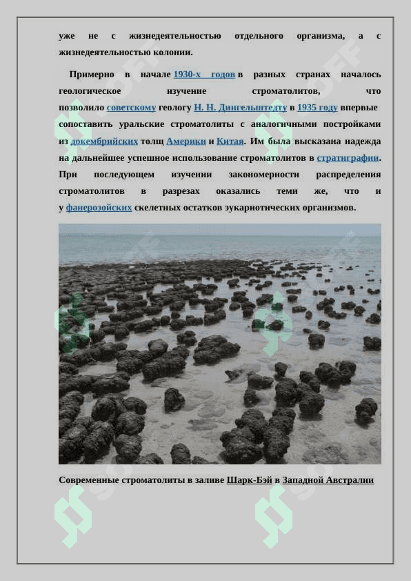 «Строматолиты и их значение для стратиграфии. Органический мир четвертичного периода..» 5
