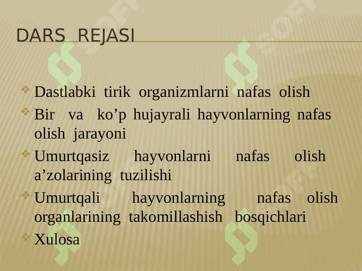 11_sinf_biologiya Hayvonlarning nafas olish organlari evolutsiyasi 5
