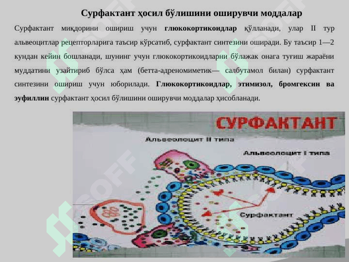 Nafas olish sistemasiga tasir ko'rsatadigan dori vositalari 6
