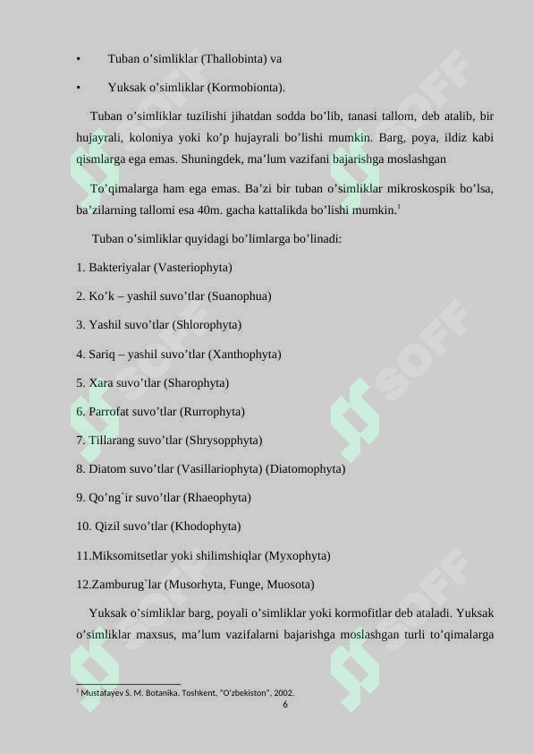 Preview 6