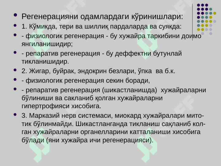 Preview 7