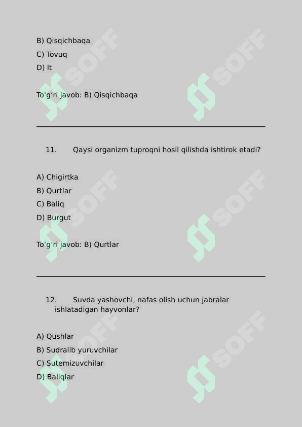 Preview 5