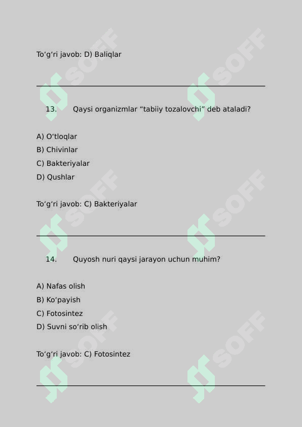 Preview 6
