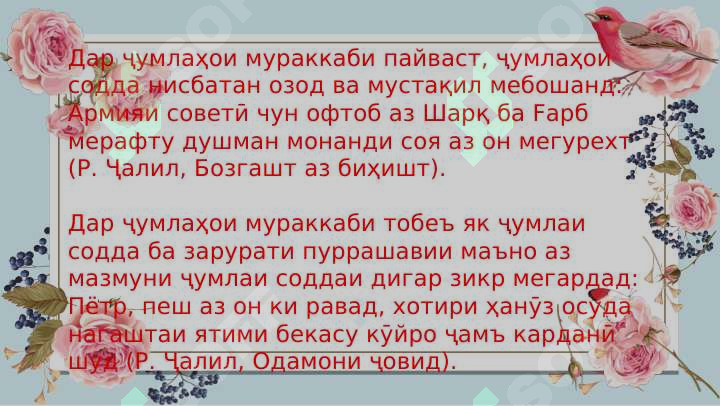 Preview 4
