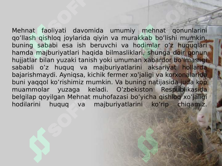 QISHLOQ XO'JALIGIDA MEHNAT MUHOFAZASI 3