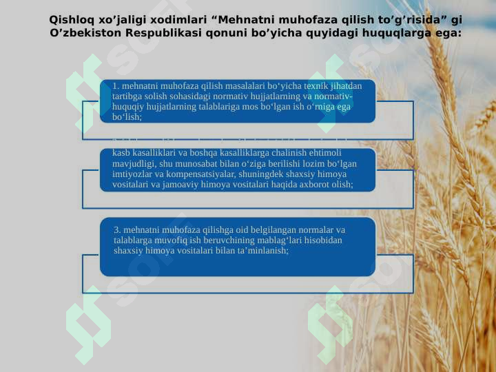 QISHLOQ XO'JALIGIDA MEHNAT MUHOFAZASI 4