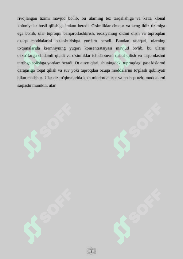 Preview 7