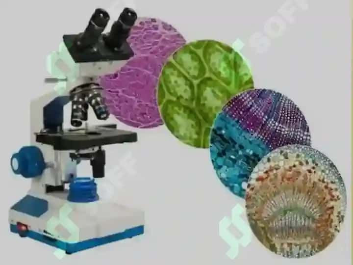 Fiziologiyani fizik,kimyo, biologiya, anatomiya,  gistologiya, kibernetika bilan bog’liqligi 5