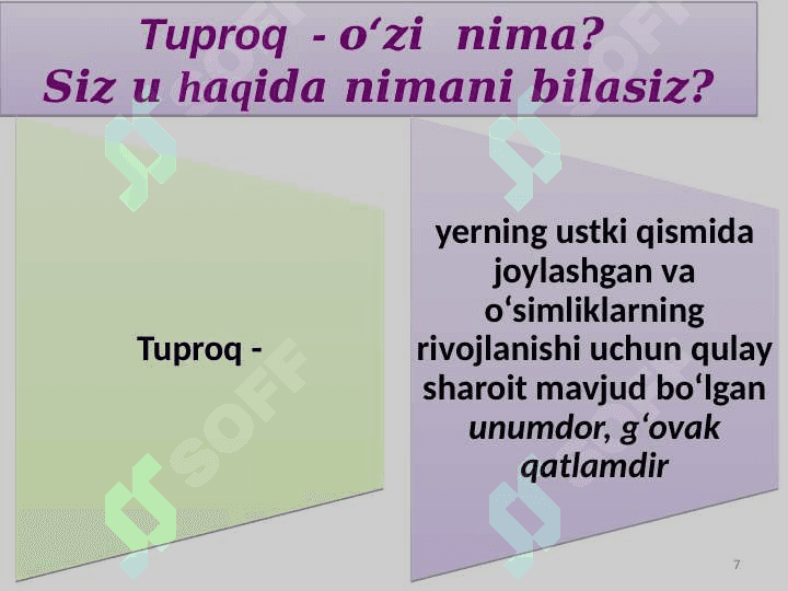 TUPROQNING GENEZISI, EVOLYUTSIYASI 7