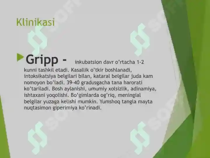 Preview 6