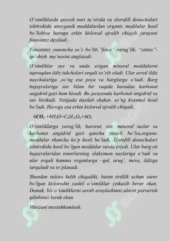 Fotosintez dars ishlanma 2