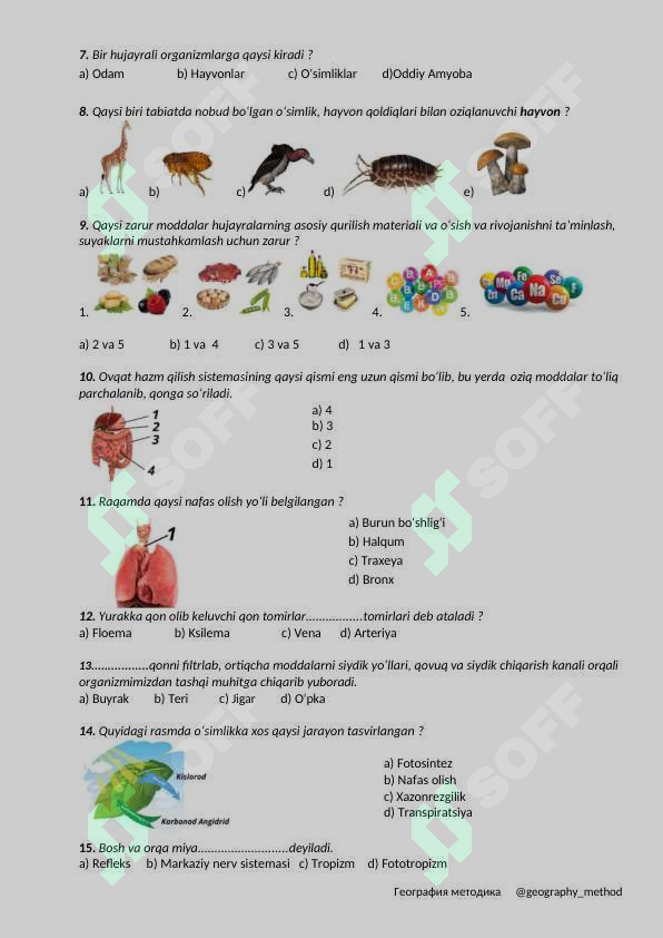 Preview 8