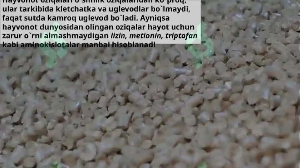 Hayvonot dunyosidan olinadigan oziqalar Tuyimliligni o’rganish 4