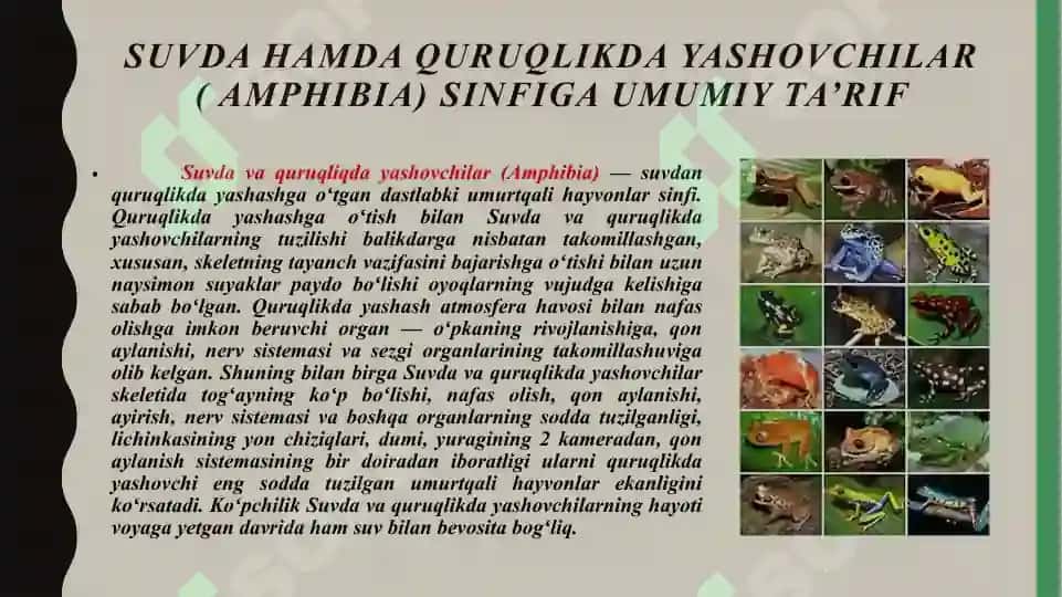 Suvda ham quruqlikda yashovchilar quruqlikka chiqish sabablari va moslanish xususiyatlari 2