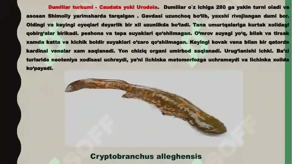 Suvda ham quruqlikda yashovchilar quruqlikka chiqish sabablari va moslanish xususiyatlari 5