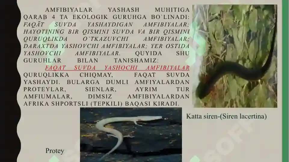 Suvda ham quruqlikda yashovchilar quruqlikka chiqish sabablari va moslanish xususiyatlari 7
