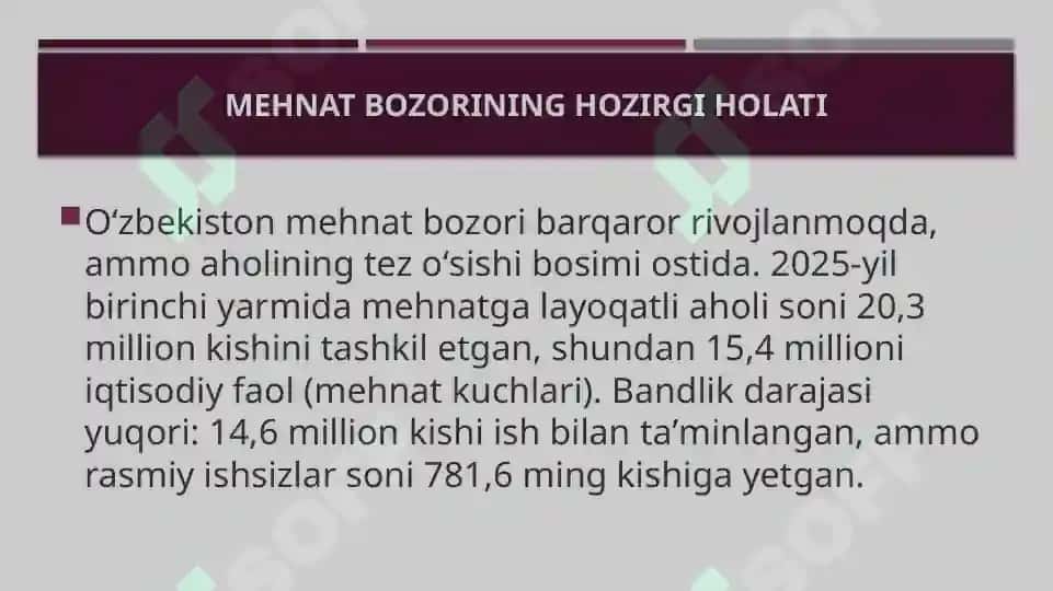 Mehnat bozorining hozirgi holati va rivojlanish istiqbollari 3