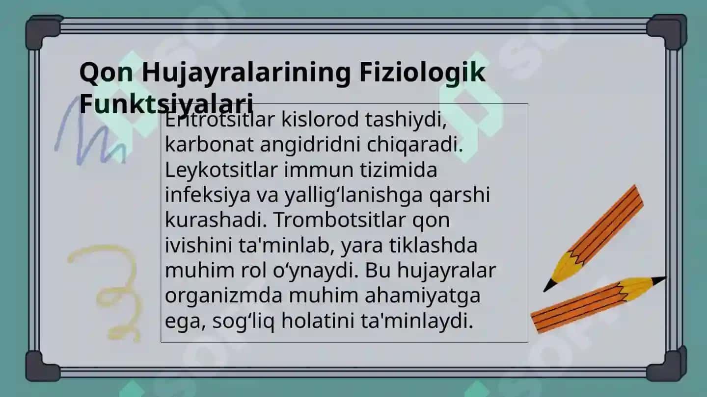Qon hujayralari fiziologik va reparativ regeneratsiyasi mexanizmlari. Qon shaklli elementlarining o’ 3