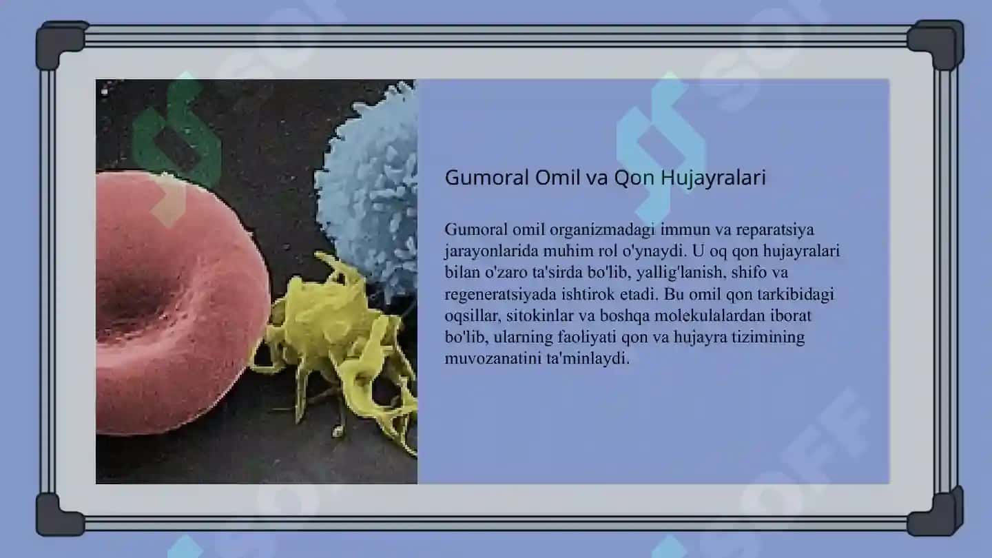 Qon hujayralari fiziologik va reparativ regeneratsiyasi mexanizmlari. Qon shaklli elementlarining o’ 5