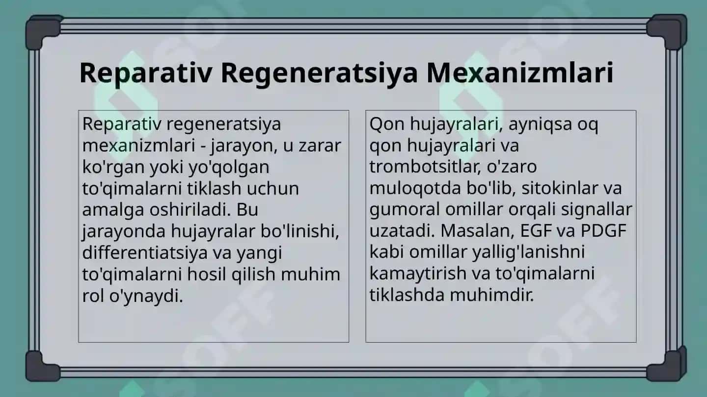 Qon hujayralari fiziologik va reparativ regeneratsiyasi mexanizmlari. Qon shaklli elementlarining o’ 7