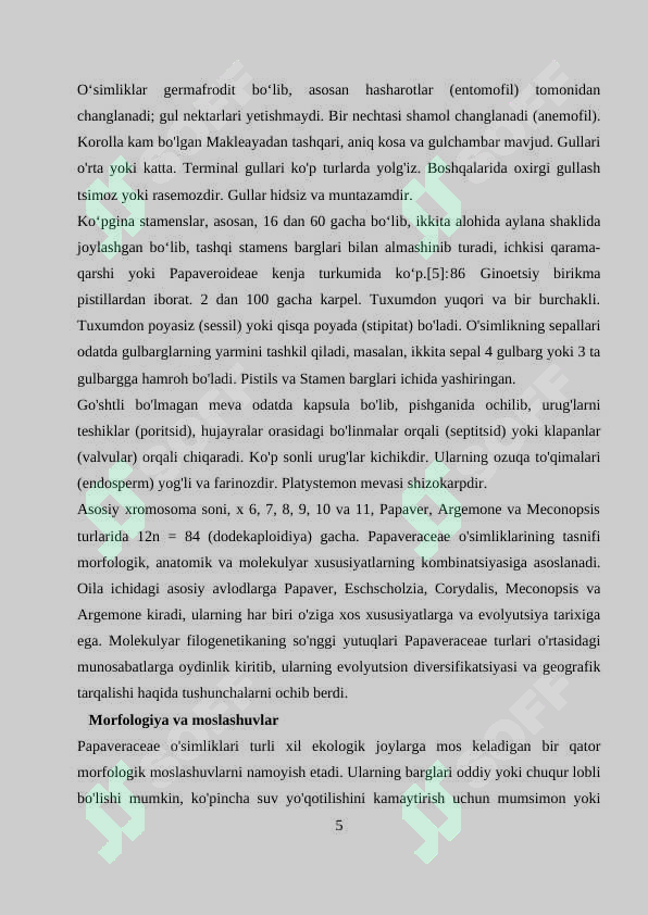 Preview 5