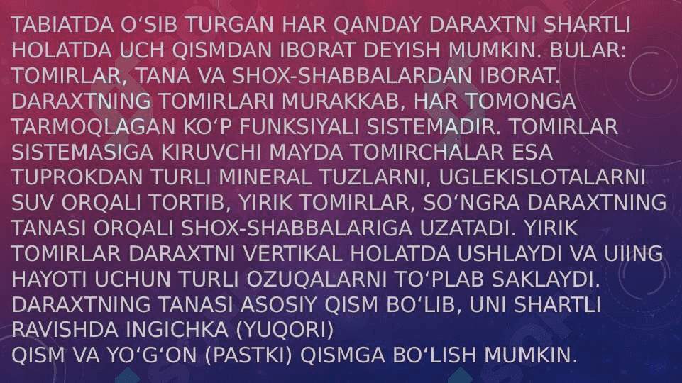 Daraxtlarning texnik va mexanik afzalliklari 3