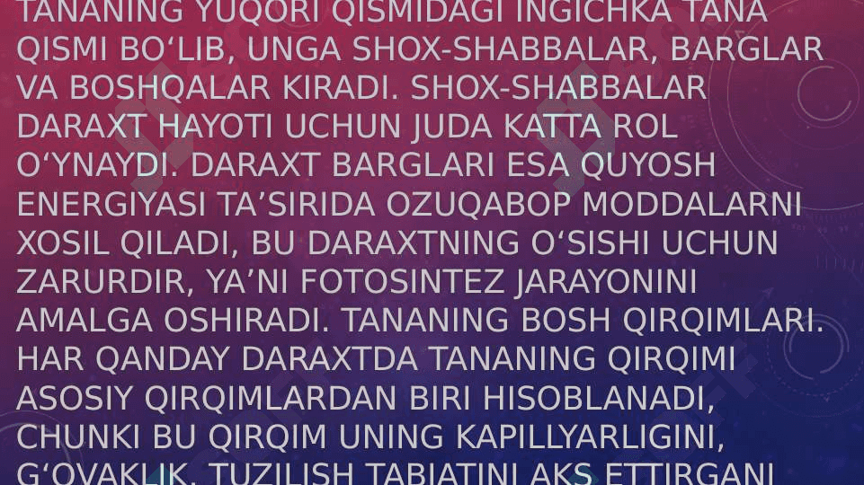 Daraxtlarning texnik va mexanik afzalliklari 4
