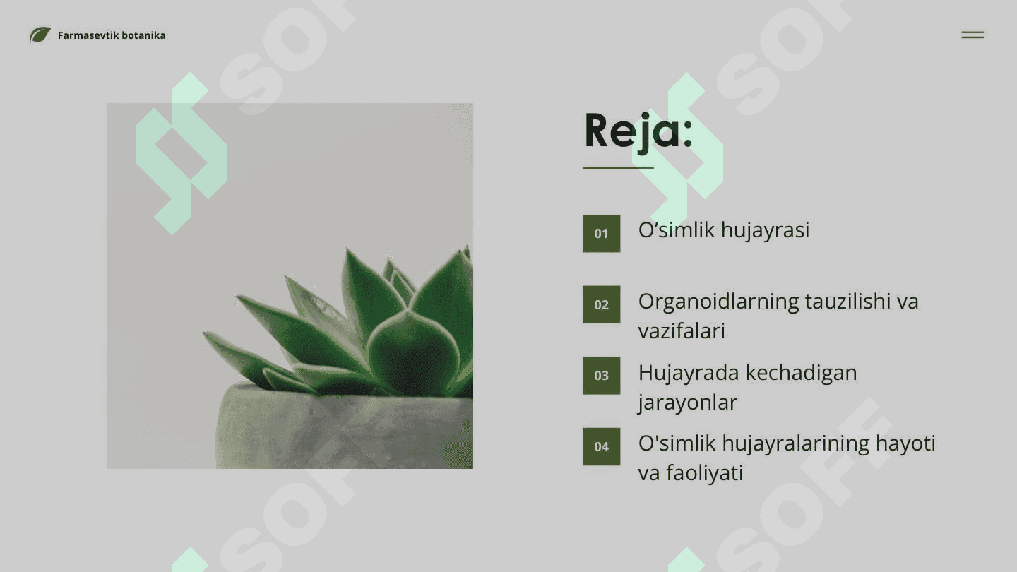 O'simlik hujayrasi, organoidlarning tuzilishi, bajaradigan vazifalari va hujayrada kechadigan jarayonlar 2