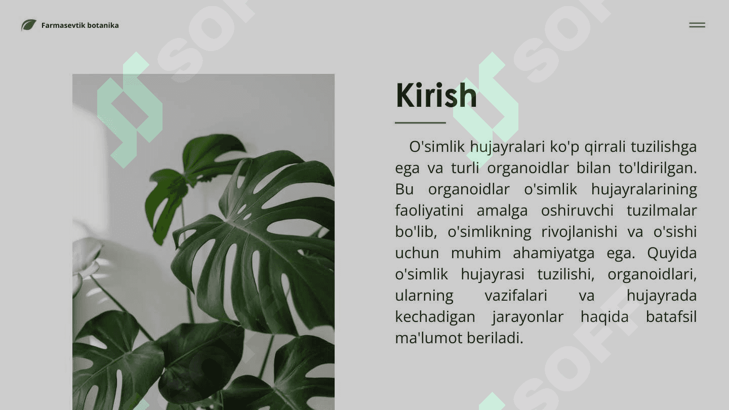 O'simlik hujayrasi, organoidlarning tuzilishi, bajaradigan vazifalari va hujayrada kechadigan jarayonlar 3