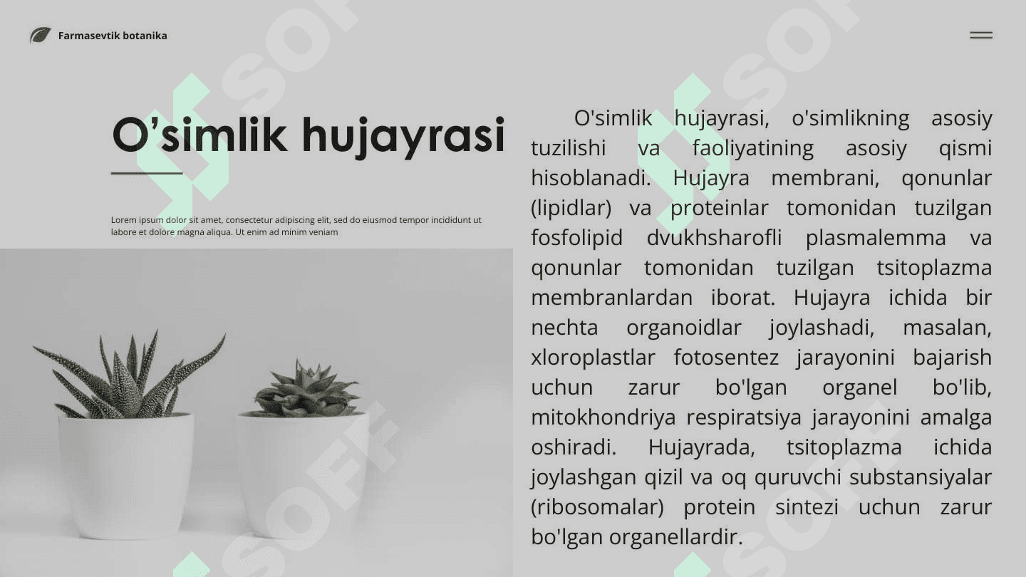 O'simlik hujayrasi, organoidlarning tuzilishi, bajaradigan vazifalari va hujayrada kechadigan jarayonlar 4